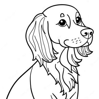 Khwr Ayrsh Sytr Spy Rnkwlw Pnh 10707-275