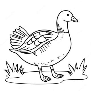 غوښه رنګولو پاڼه د رنګولو پاڼې