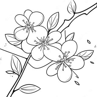 ښکلی د چیری بلوسم څانګه انځور پاڼه د رنګولو پاڼې