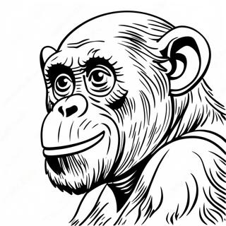 D Rnkwlw Pnh D Chmpnz 129710-62831