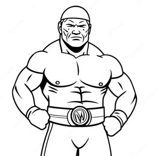 ساده Wwe غړمبېدونکی رنګولو پاڼه د رنګولو پاڼې