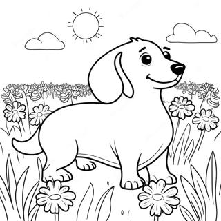 اوږده ویښتان لرونکی ډاچونډ د ګلانو ډګ کې رنګولو پاڼه د رنګولو پاڼې