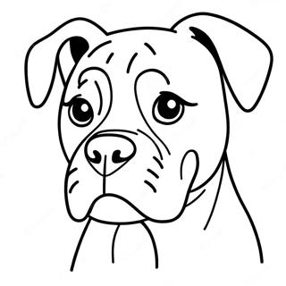 Khwshlh Bwkhsr Spy Rnkwlw Pnh 89704-29880