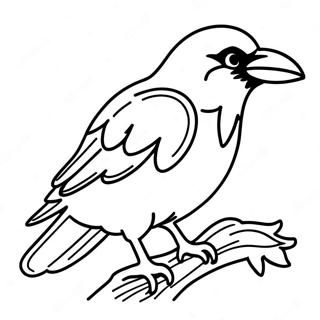 غراب رنگین پاڼه د رنګولو پاڼې