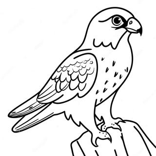 د پریګرین فالکن رنګ کولو پاڼه د رنګولو پاڼې